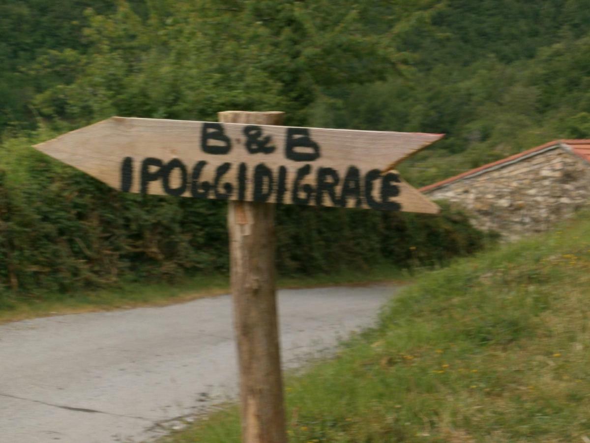 フィヴィッツァーノ I Poggi Di Grace Bed & Breakfast エクステリア 写真